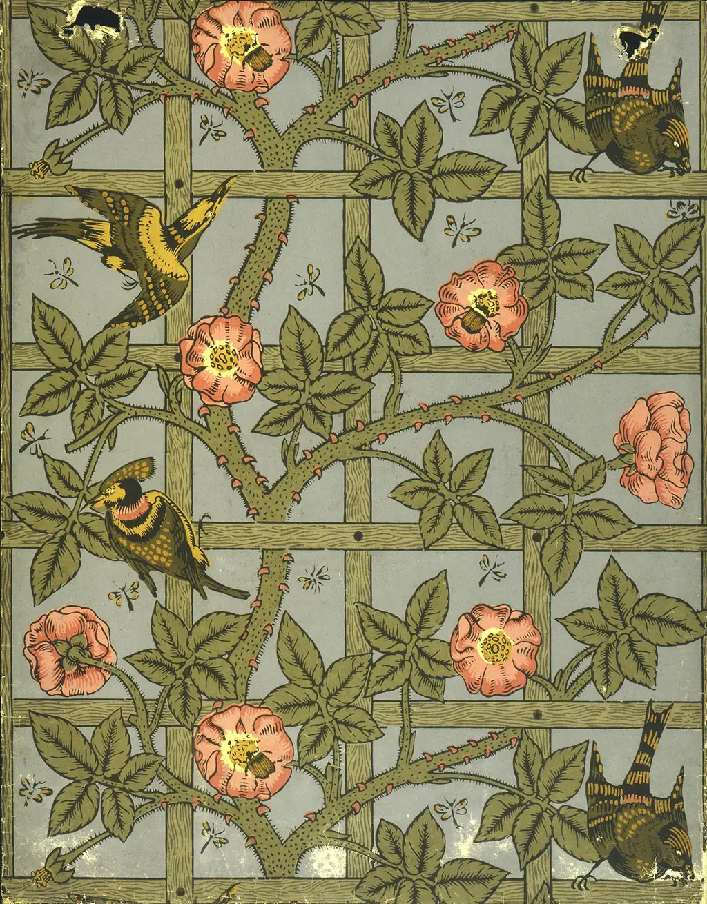 Trellis in Detail William Morris